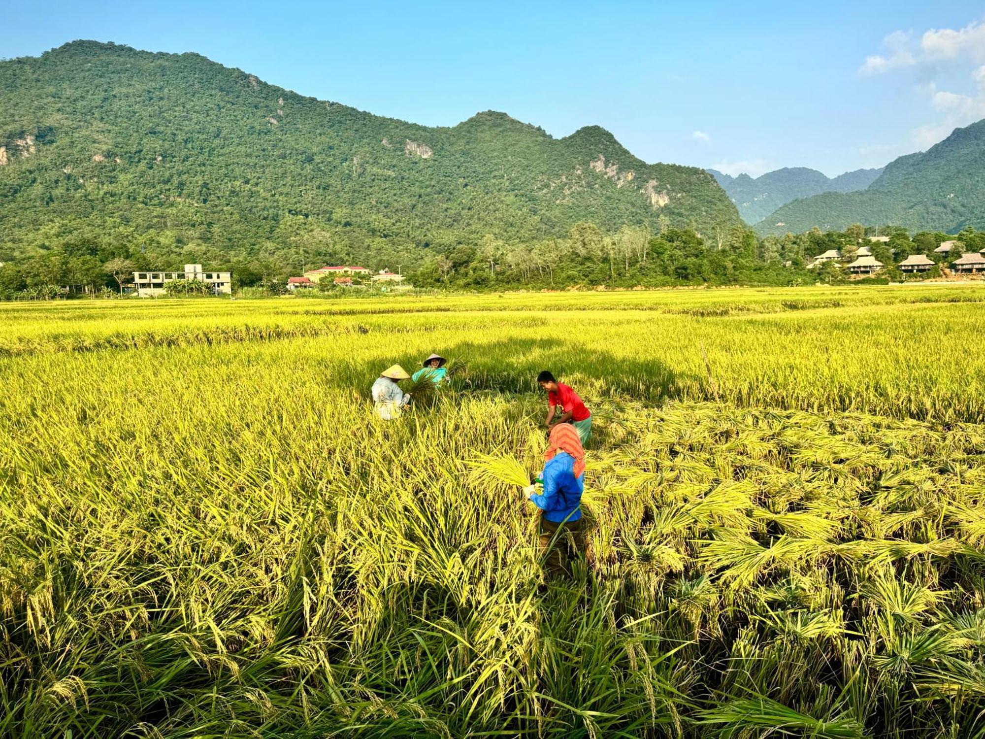 Mai Chau With Love Homestay Ban Bang Extérieur photo